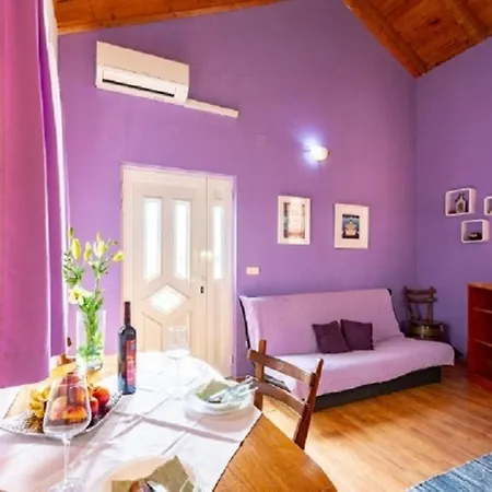 Zeljko Apartment Račišće